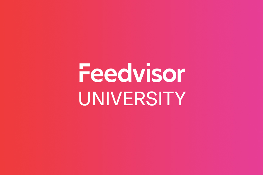 Shipping Fee Guidelines -  Seller University - Feedvisor