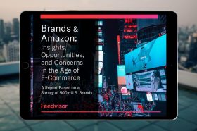 Brands & Amazon: Insights, Opportunities, and Concerns in the Age of E-Commerce