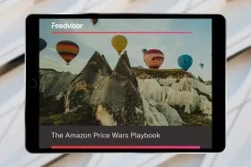A Comprehensive Breakdown of Amazon Price Wars
