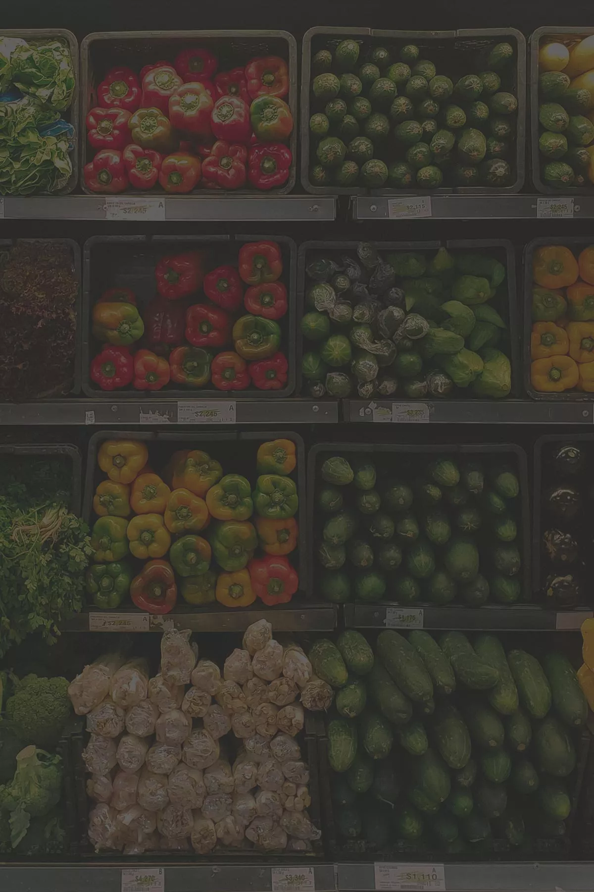 web-books-amazon-walmart-groceries