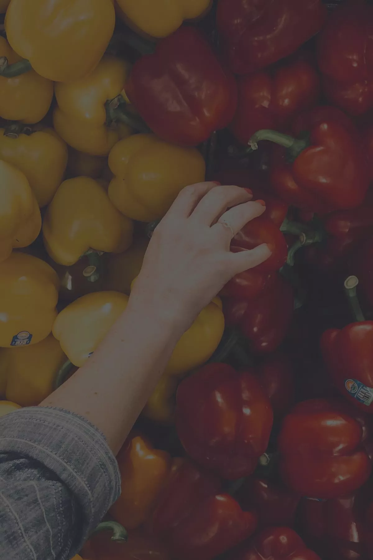 web-books-amazon-walmart-peppers