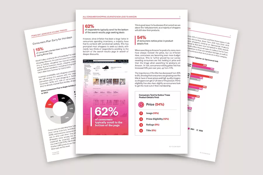 Amazon Consumer Behavior Holiday Report