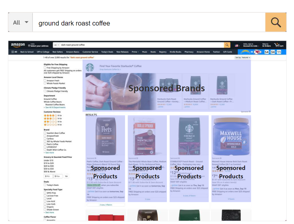 Example of Amazon Sponsored Brands and Sponsored Product Placements